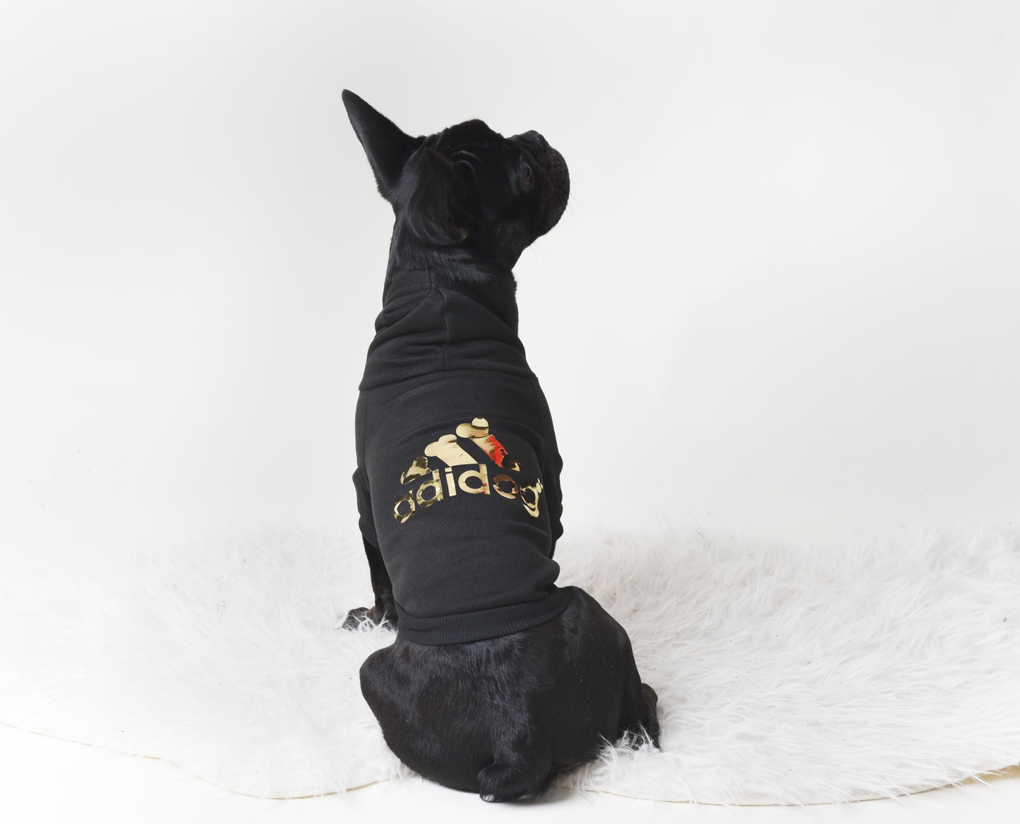 Hoodie Chercheur d'or pour chien