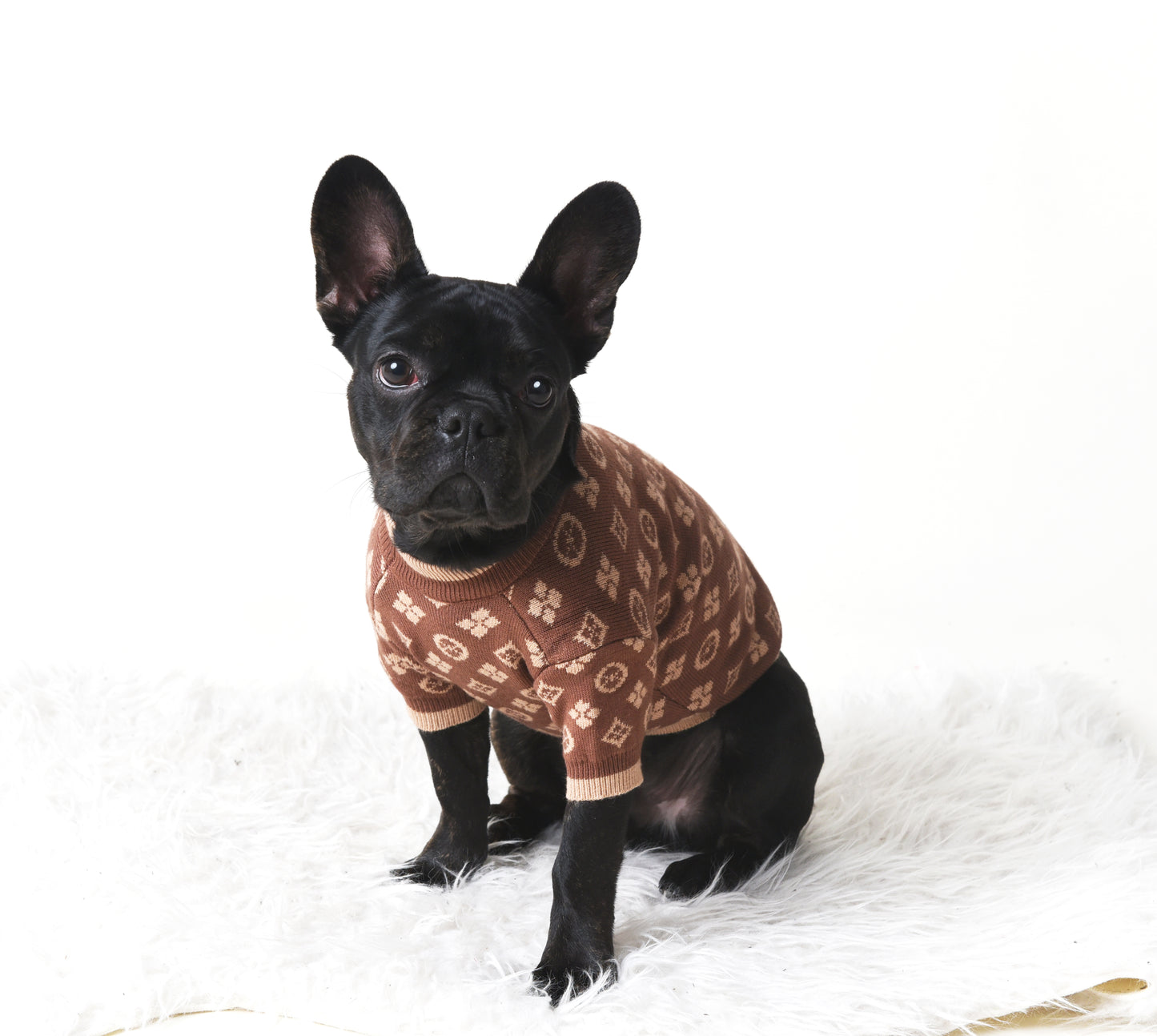 Posh Pooch Pullover