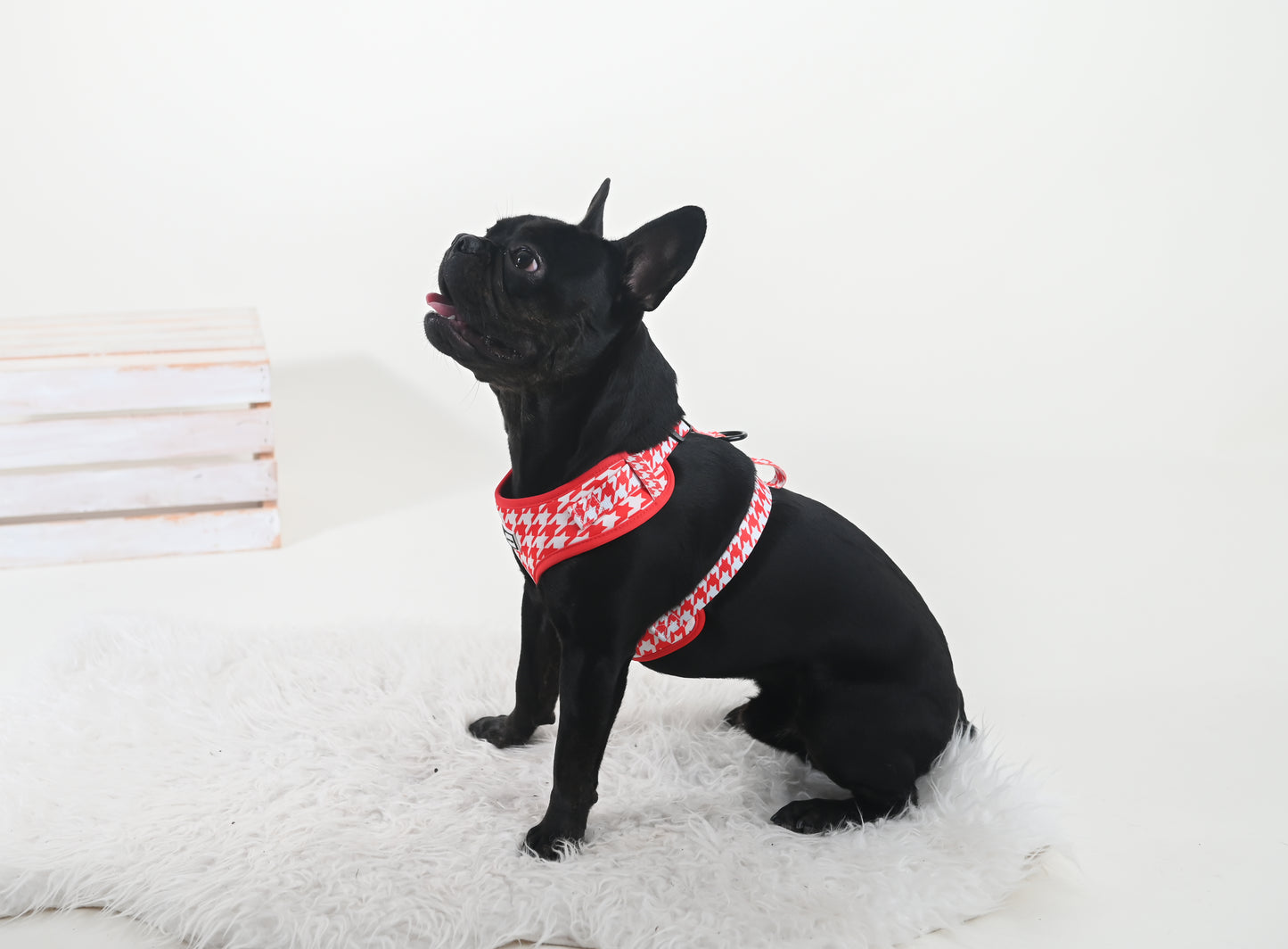 Fashionable Houndstooth Dog Harness