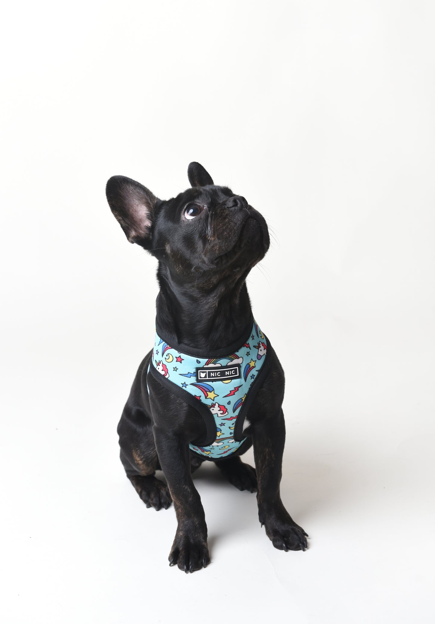 Nic Nic Doggie Harness