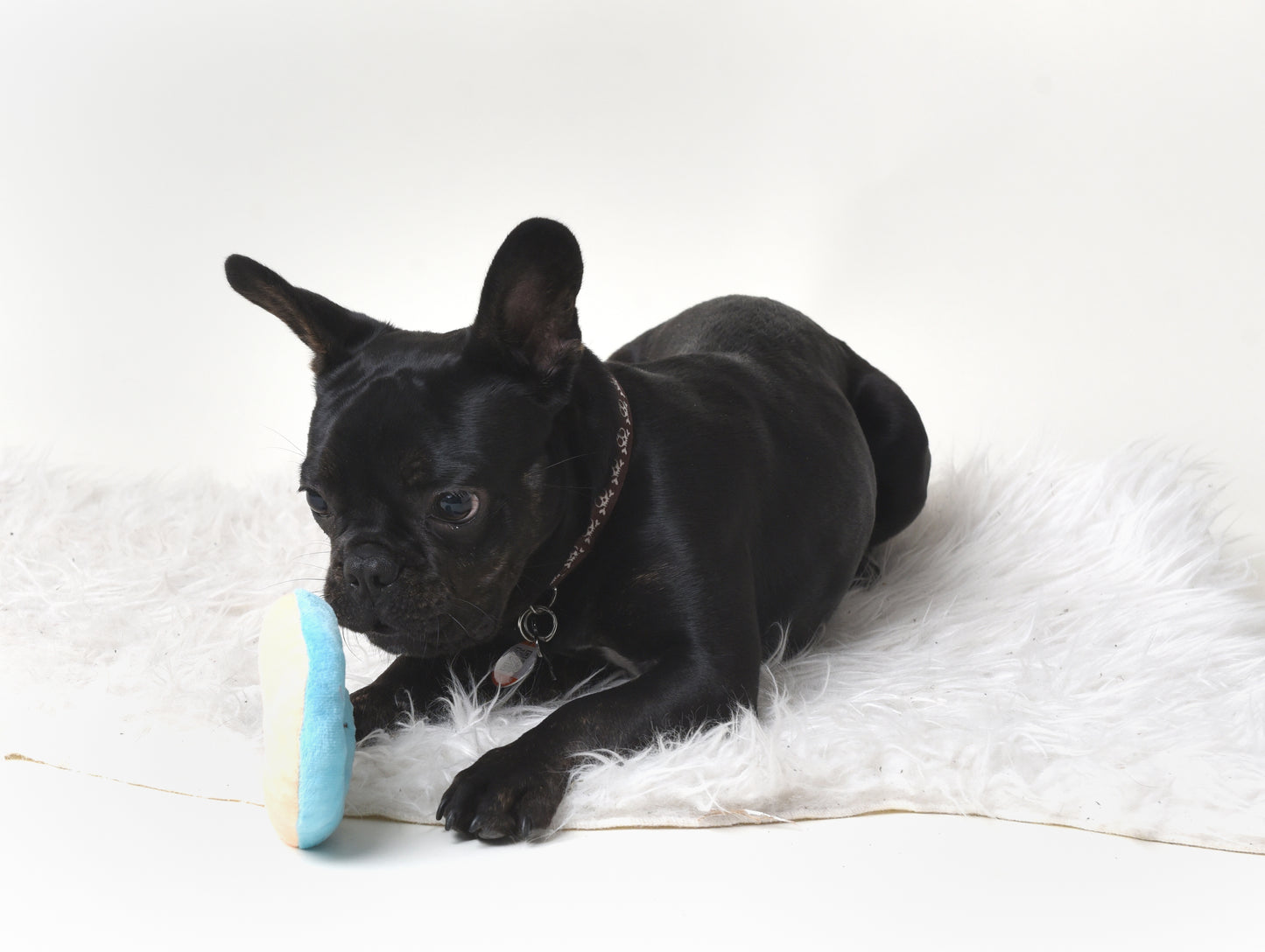 Delish Glazed Doughnut Toy