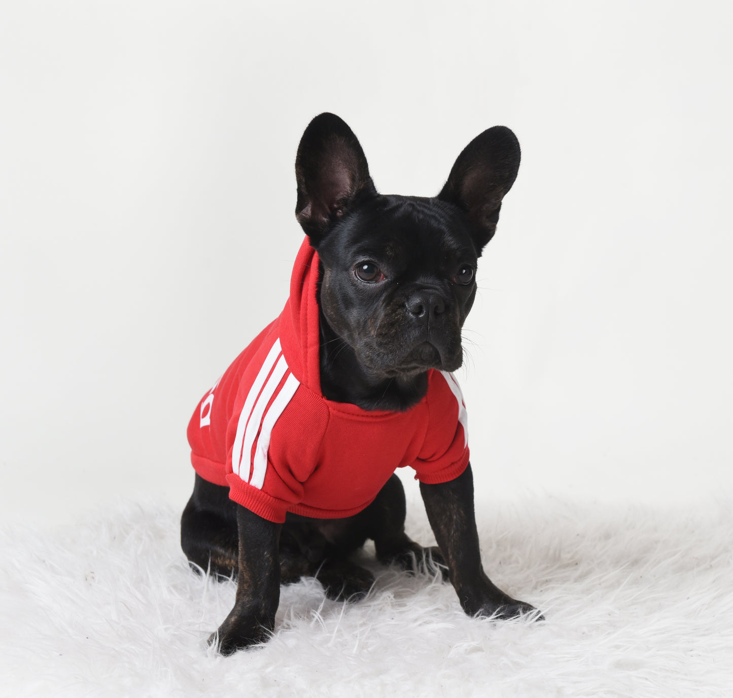 Sporty Red Doggie Hoodie