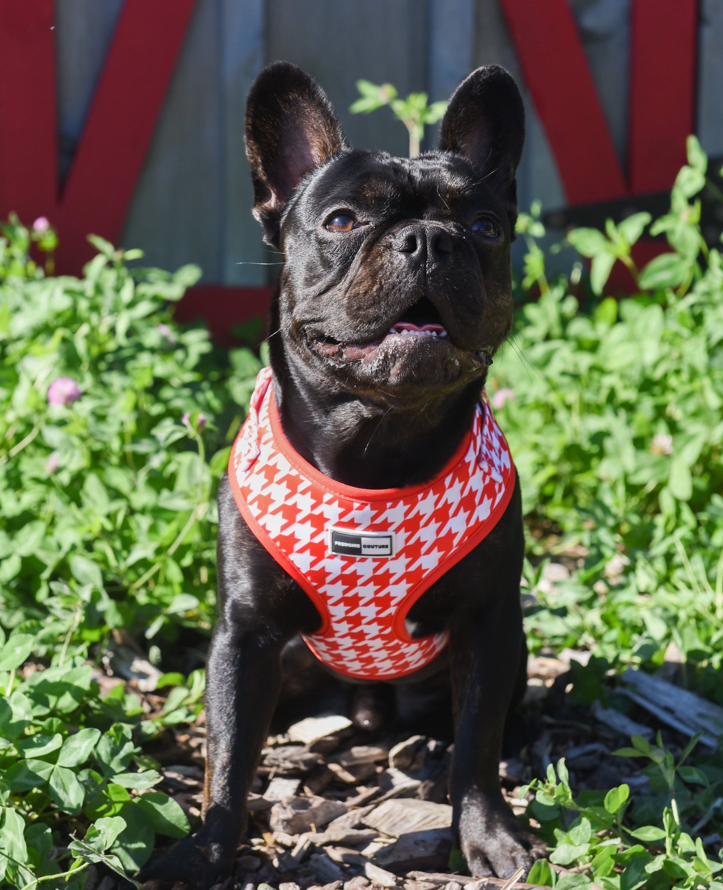 Fashionable Houndstooth Dog Harness