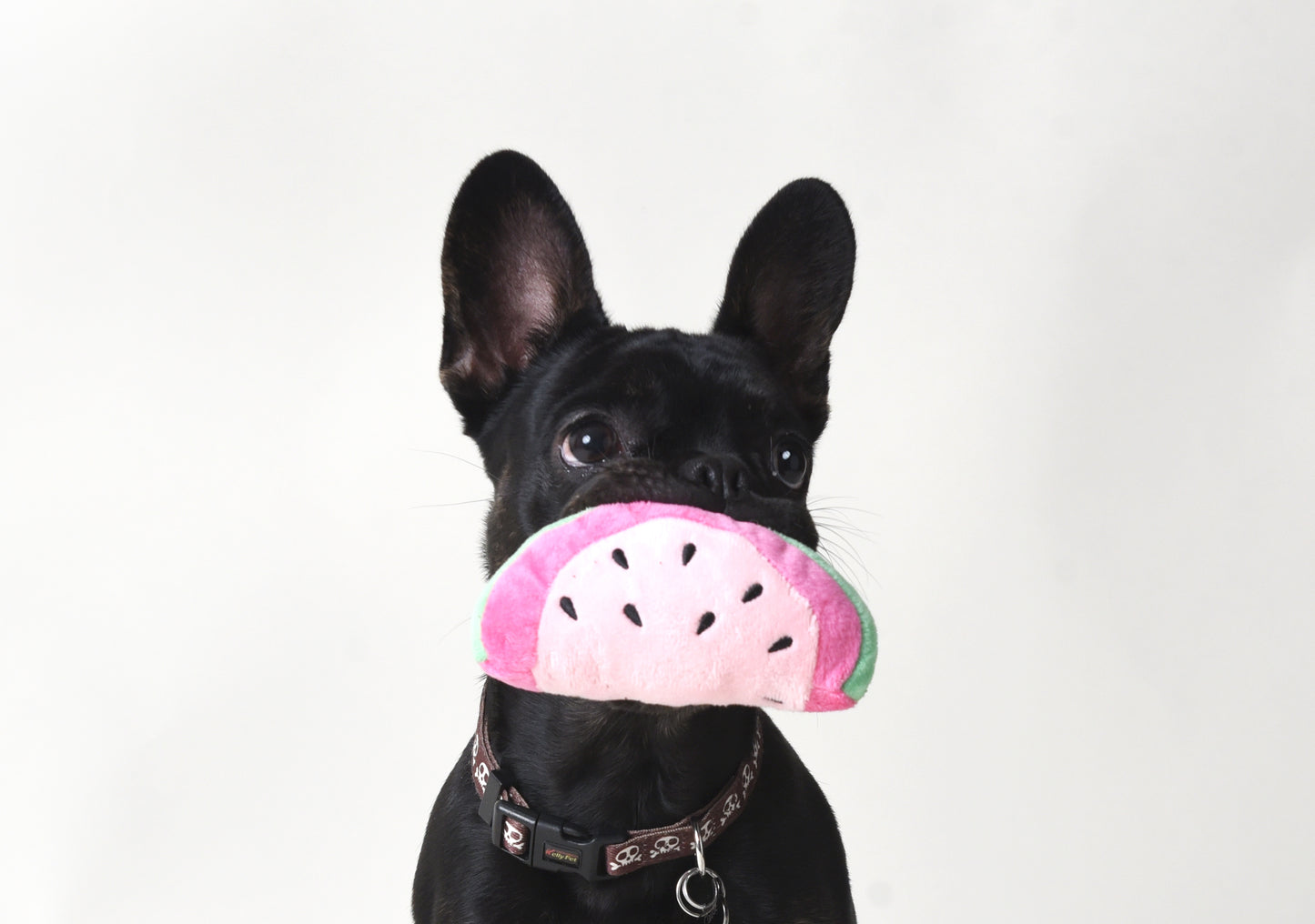 Savory Watermelon Toy