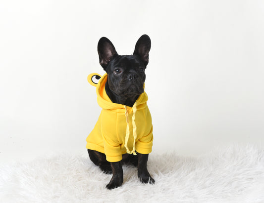 Hoodie Grenouille jaune pour chien 